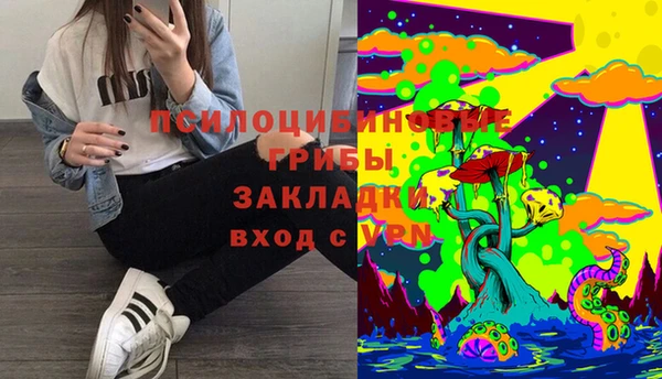 mix Гусиноозёрск